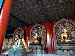 2023 02 05  PEKIN - WANSHOU TEMPLE LONGEVITE BIENVEILLANCE (29)